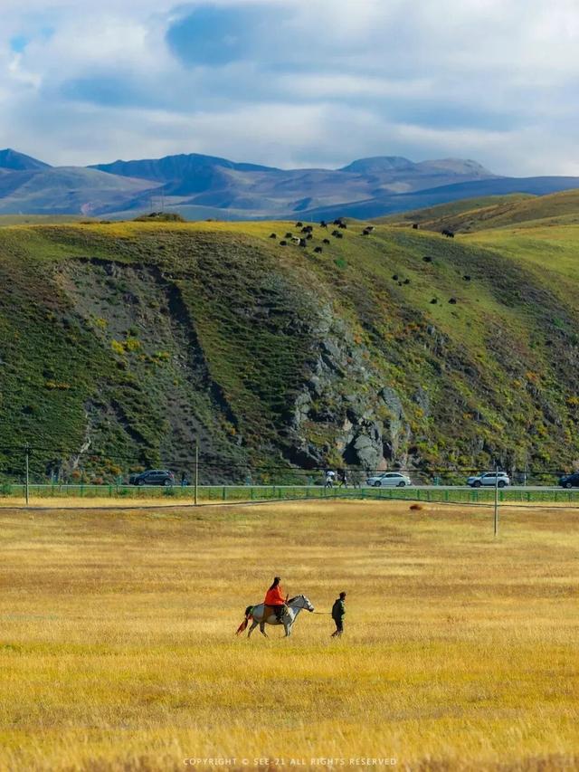 在康定看“川超”太爽了！一条龙安排的明明白白～
