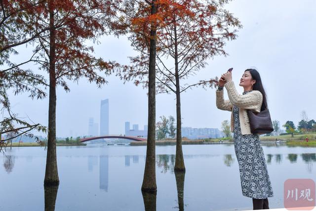 C视觉丨初冬兴隆湖 邂逅油画森林