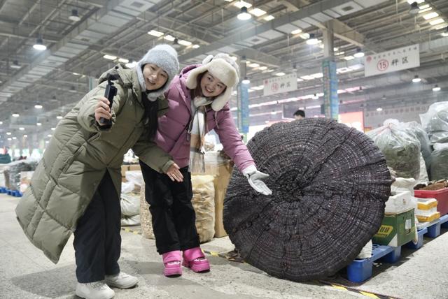 “人参+冰雪”跨界融合，白山抚松探索出冬季旅游新生活