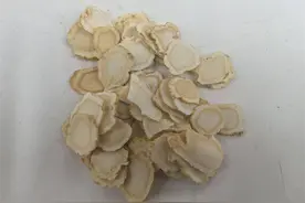 常用中药100味｜西洋参：不一样的补气药图片
