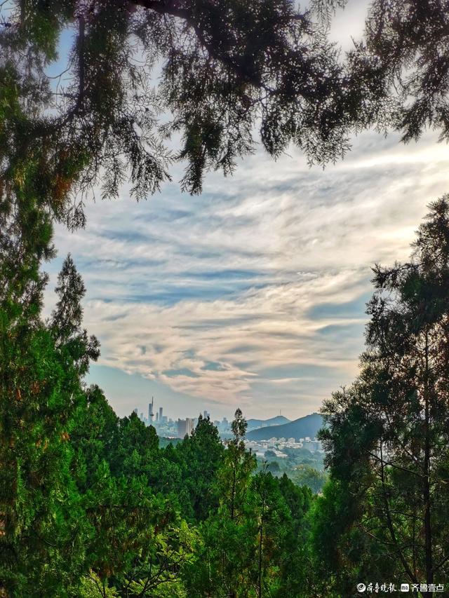 秋韵美景，蓝天白云下的济南英雄山