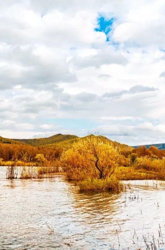 200元起飞！许多巴彦淖尔人都忍不住了......