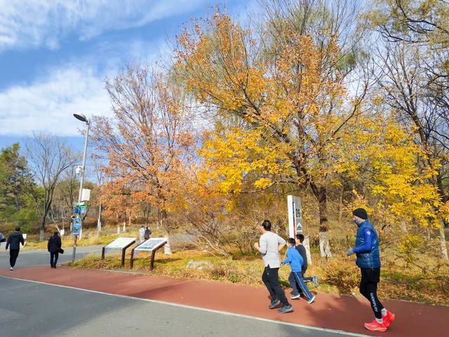 秋深冬浅时，奥森浸染缤纷色彩