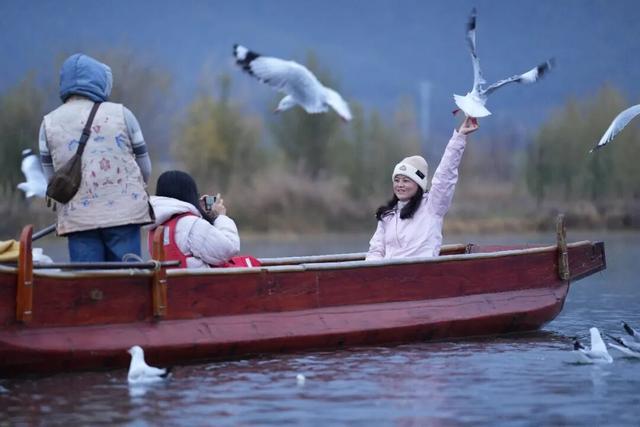 泸沽湖冬日限定浪漫：乘猪槽船，赴一场红嘴鸥之约