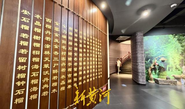 枣庄石榴博物馆 揭秘石榴历史文化和发展