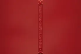 2025年总台春晚节目单发布图片