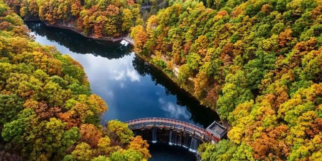 亮相央视！洛阳这些赏秋地，太美！