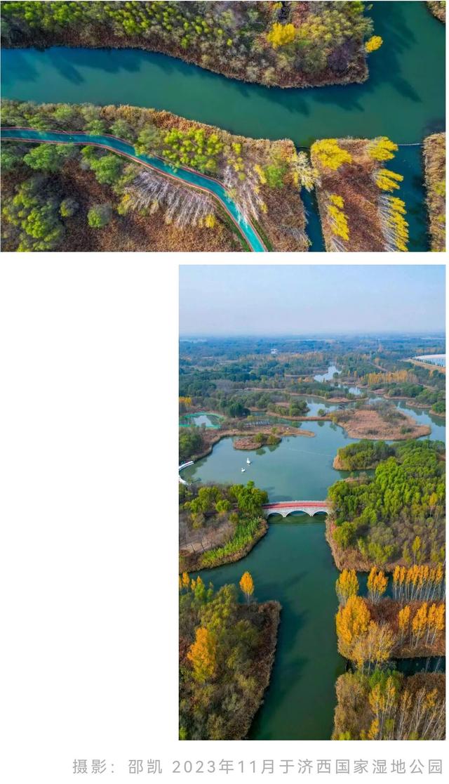 济南的秋天，大电影质感！