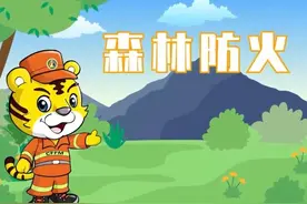 再敲警钟！国家林草局介绍四个森林火灾典型案例图片