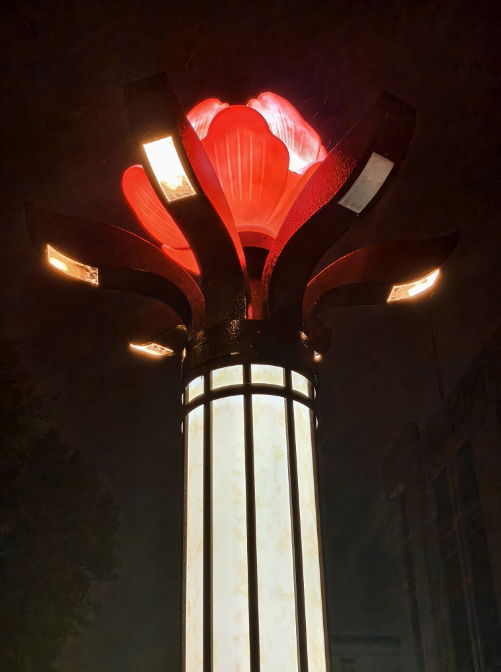 起猛了，我在洛阳被「牡丹」包围了！