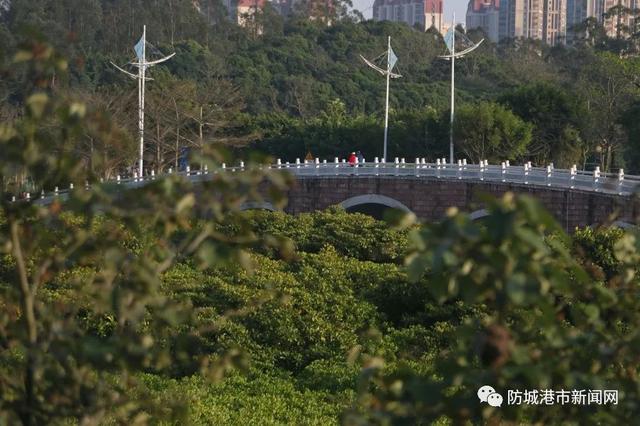 公主王子请上车！一起乘坐双层观光巴士解锁防城港边海风光~