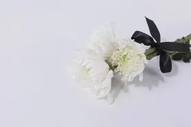 高考601分读殡葬：让死者有尊严，也要让生命的“摆渡人”有尊严图片