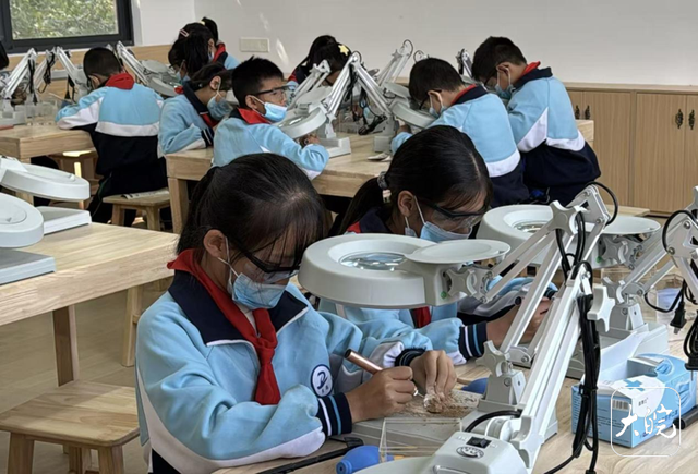 在化石修复、星空观测中玩转研学 池州东至发布2025秋冬季特色研学线路