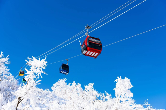 河南宝藏滑雪场，开板啦！