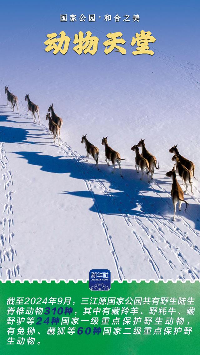 和合之美｜三江源国家公园：中华水塔、稳固丰盈