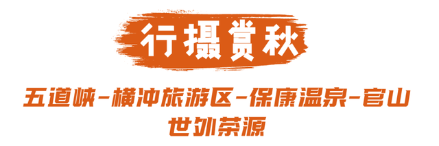 层林尽染，走进保康的秋日诗篇！