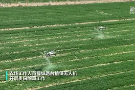 植保无人机用上移动“充电宝”图片