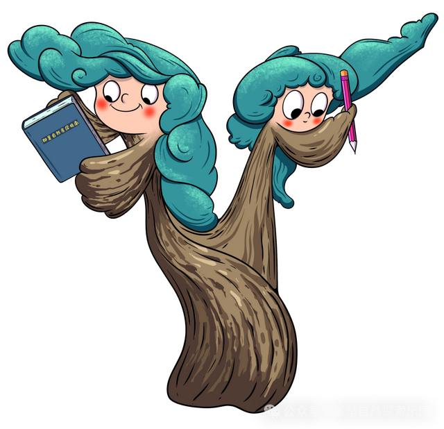 内含福利！江宁这个主题乐园月底开放→