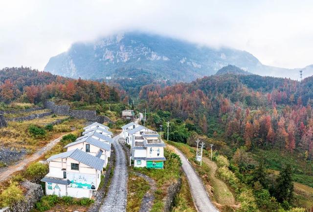 天门村：枫红云海间的千年一瞥
