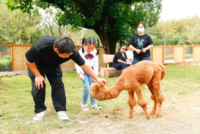 151.56万人次！全国第三！