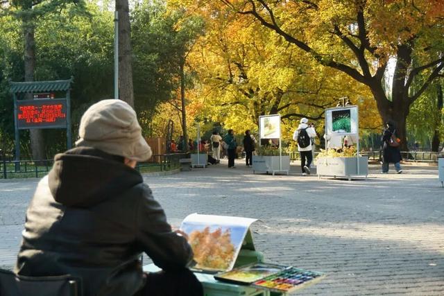 海淀这个免费公园，“藏”着秋天的所有颜色——