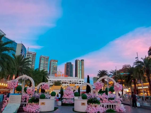 八月的尾声，深圳霞光倾城