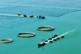 山东荣成：大风过后 海上生产有序展开#图片