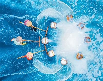 “野趣”花岙（屿见中国）