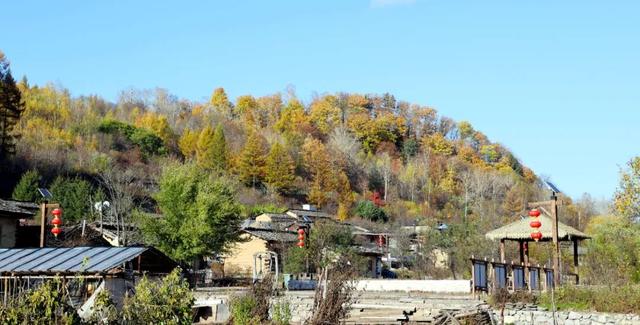 省媒看白山 | 吉林日报：秋色浸染百年村落，长白山腹地“木文化活化石”风光正好