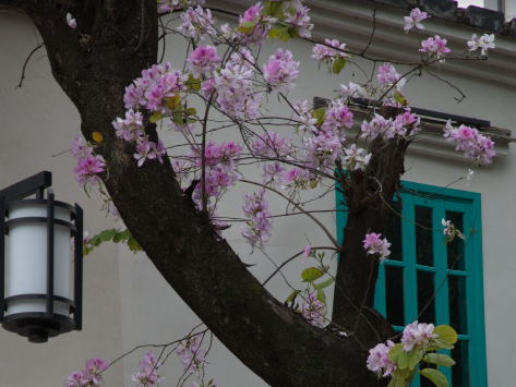 春节必去！网友严选！福建两地成爆款打卡地