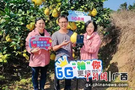5G直播销售 广西移动助力杨贵妃故里“柚”见丰收图片