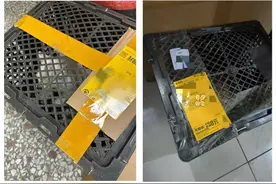 透气运输笼发货、有合作就能邮寄……活体宠物被装进了快递里图片
