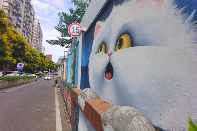 安逸四川 乐游绵阳 ‖ “萌力”全开，游仙区中经路变治愈系“喵星人”乐园