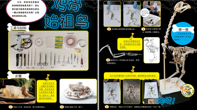 这个小盒子里的化石材料，产生了非常多举世瞩目的成果，有十几篇顶刊文章｜卢静 一席少年第36位讲者