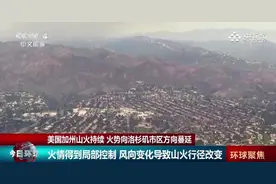 加州山火持续！大火向洛杉矶市区蔓延图片
