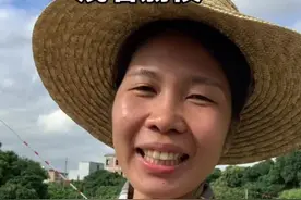 秀我中国｜用粤式英语打开茂名荔枝图片