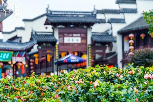 秦淮满眼“中国红”！