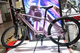 捷安特自行车加码海外业务图片