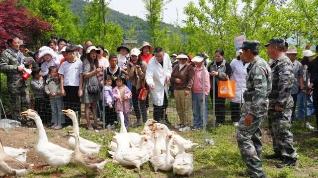 活动资讯 | 秋收“大作战”！越西邀您体验丰收的喜悦！