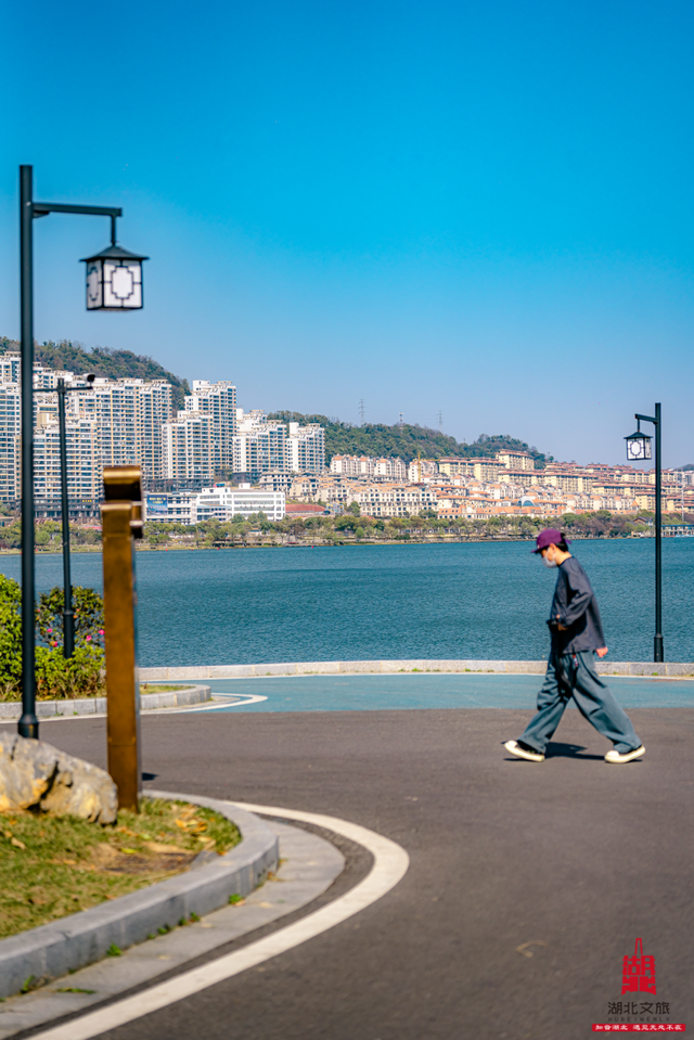 短短短短短……且赏且珍惜