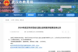 2024年武汉市示范幼儿园认定名单公布图片