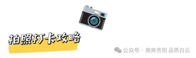 在白云！这个初冬阳光温暖，满是金黄！