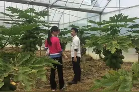 专访苏享茂家属代理律师：翟欣欣有从欺骗到婚内敲诈的转变图片