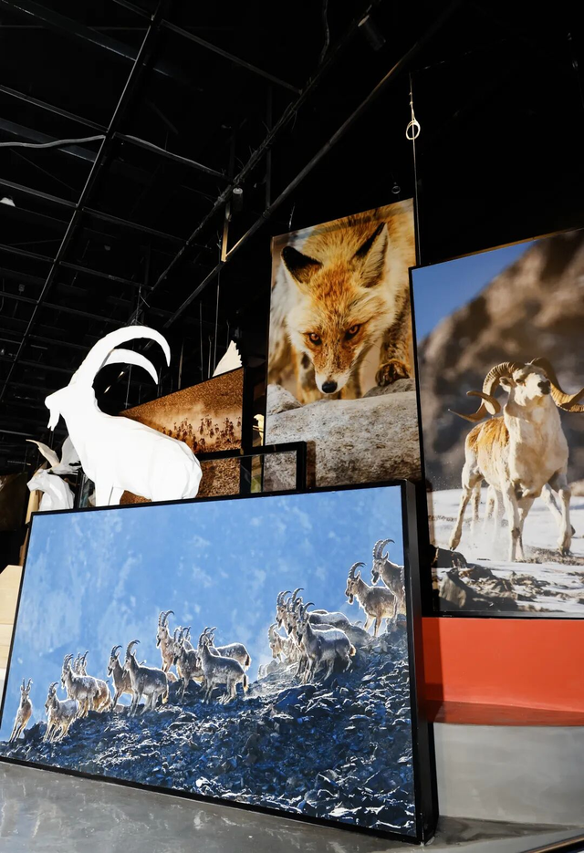 在喀什，与山河对望  ——走进中国国家地理南疆（喀什）自然影像中心