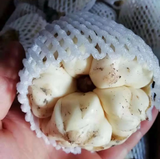 一口井·一座山·一道食，简读龙山新方式！