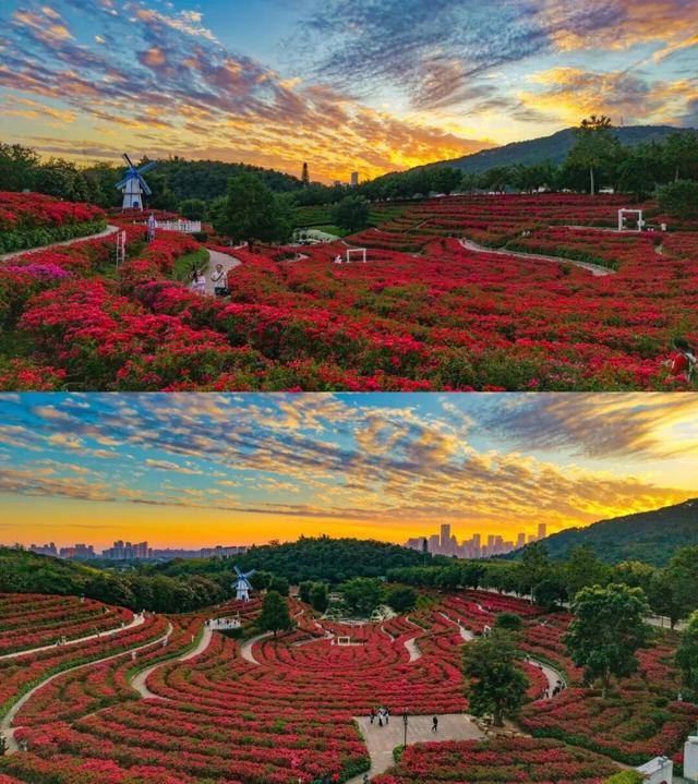 上榜全国暖冬城市TOP3！南宁，被低估的过冬宝藏地！不止温暖，更有看不完的风景和吃不完的美食