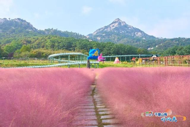 出发！抓住秋天的尾巴威海『拾秋地图』上新啦