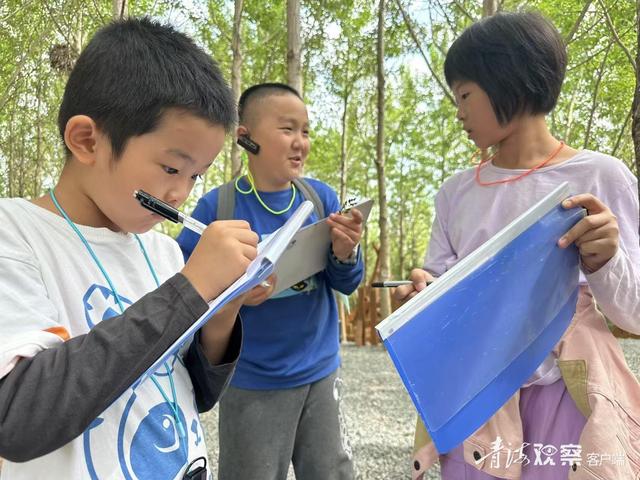 一场别开生面的暑期绿色环保研学之旅