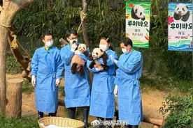 睿宝，辉宝！福宝双胞胎妹妹们名字定啦图片