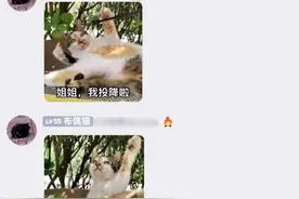 大学校园里的“流浪天使”图片